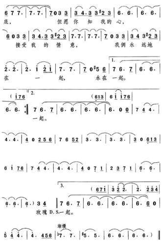 �����õ�弪����