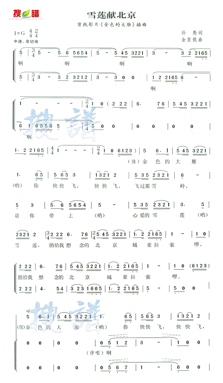 ѩ���ױ��� (��ɫ�Ĵ������)������