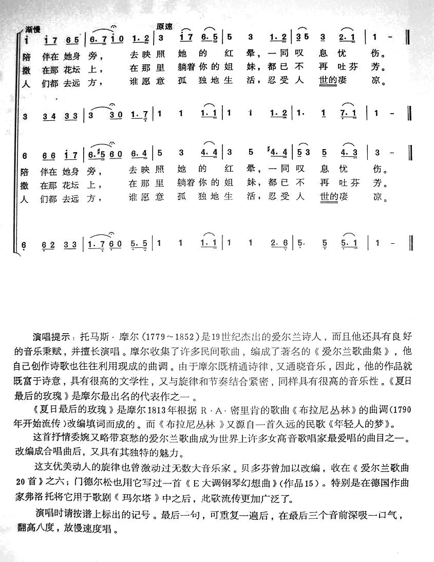 ��������õ�弪����