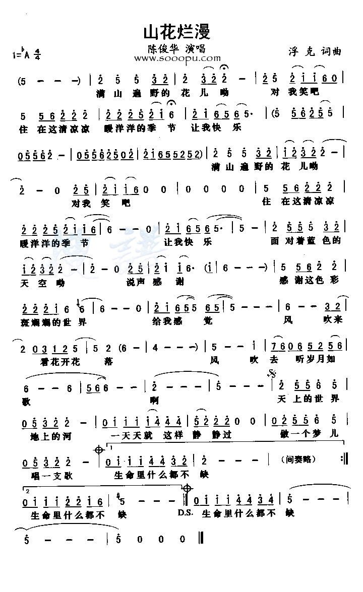 ɽ������������