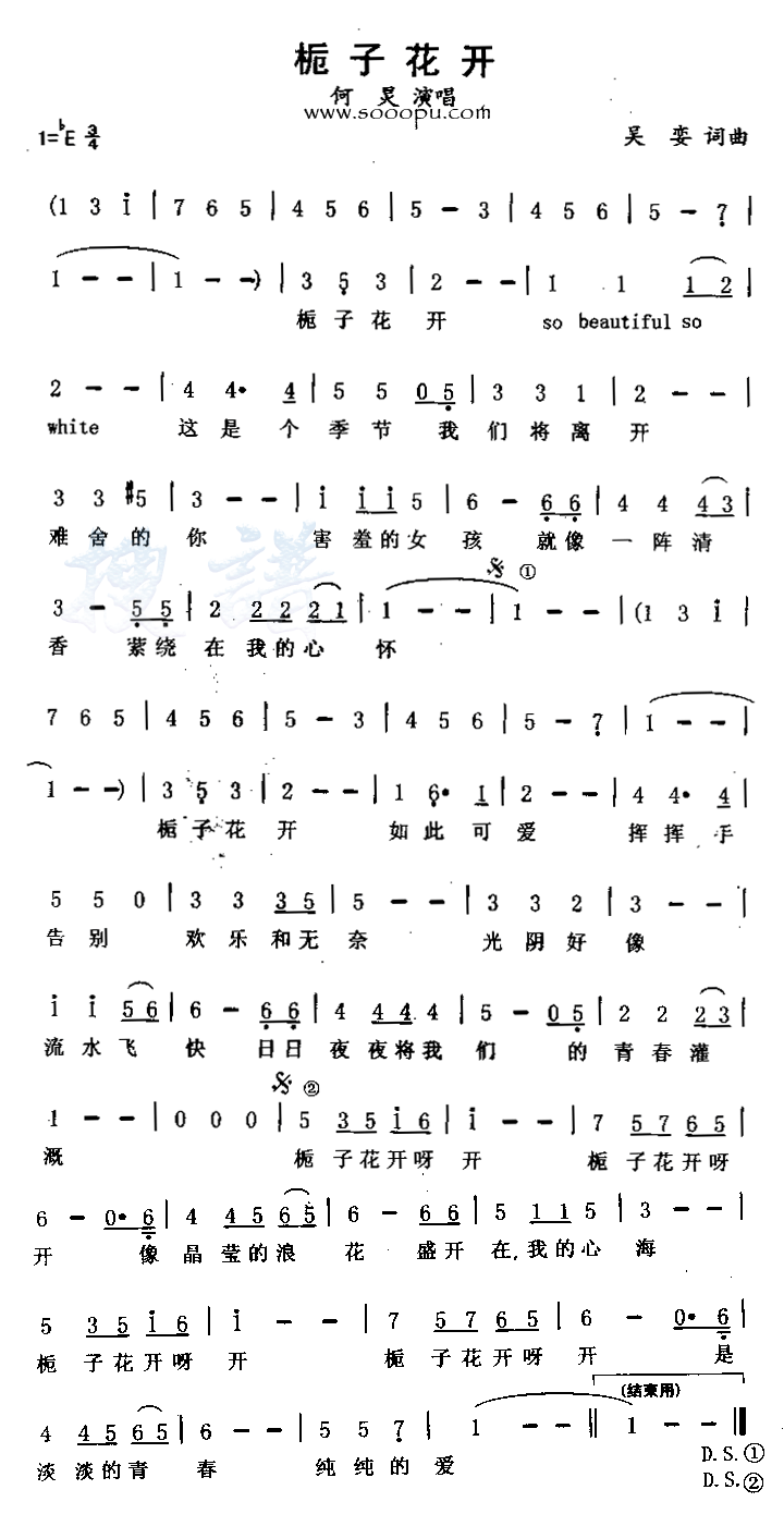 Φ�ӻ���������