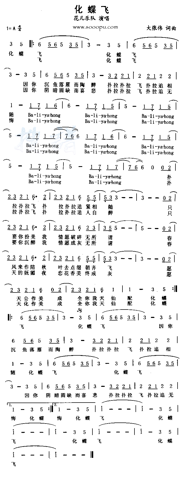 �����ɼ�����