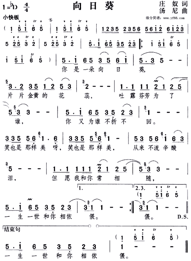 ���տ�������