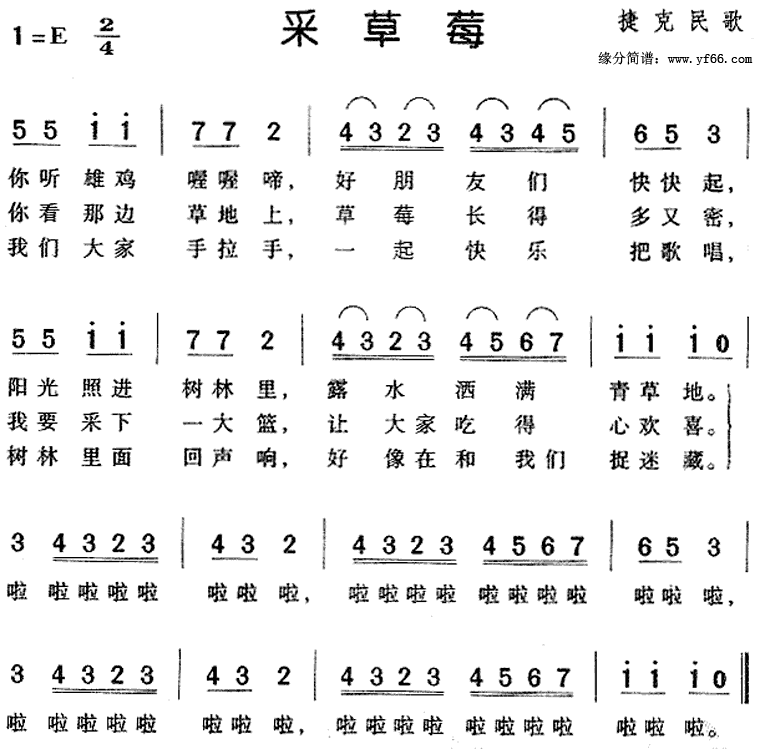 �ɲ�ݮ������