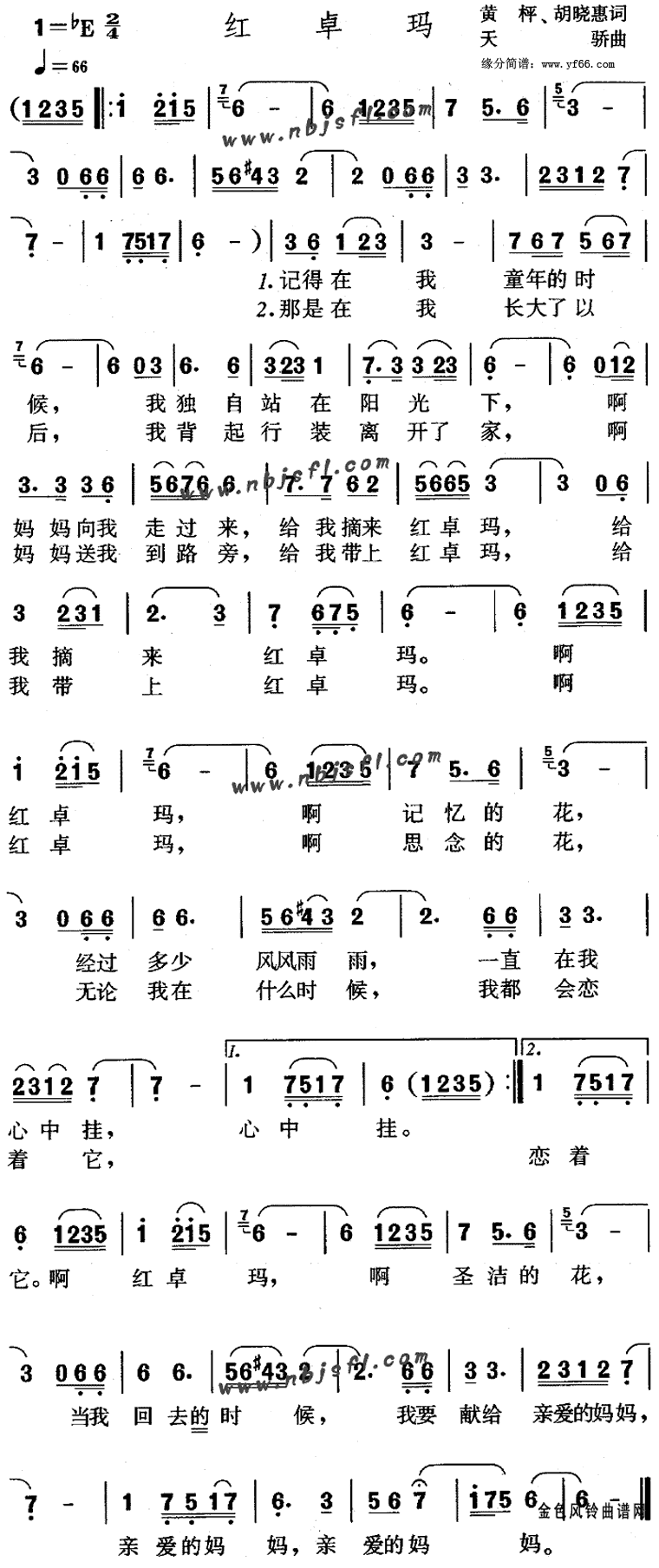 ��׿�꼪����