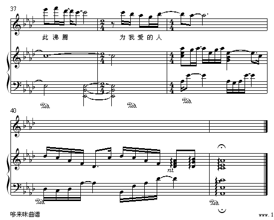 ������Ϊ��-�����㼪����